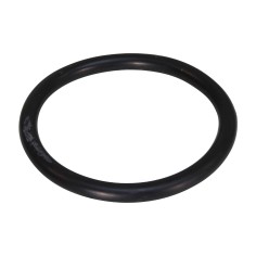 Joint torique pour bouchon de porte membrane Crystal Filter® 4''