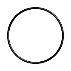 Joint pour carter porte-filtre Osmoseur Gamme Pallas 2