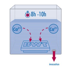 Filtre universel anticalcaire pour machines à café - BWT BestSave M - 100L 2