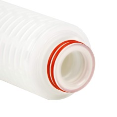 Membrane de filtration grade bio pharmaceutique 10'' 0.2 µm 2