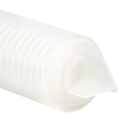 Membrane de filtration grade bio pharmaceutique 20'' 0.2 µm