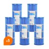 Filtre SPCF-200-M PRO Antibactérien - Crystal Filter® - Compatible Waterair® Escatop® (lot de 5)