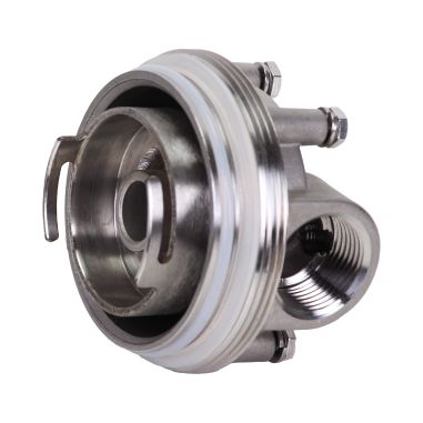 Carter inox 10'' AISI316 entrée sortie 1'' BSPT code 226 avec mano 0-6 bars et equerre
