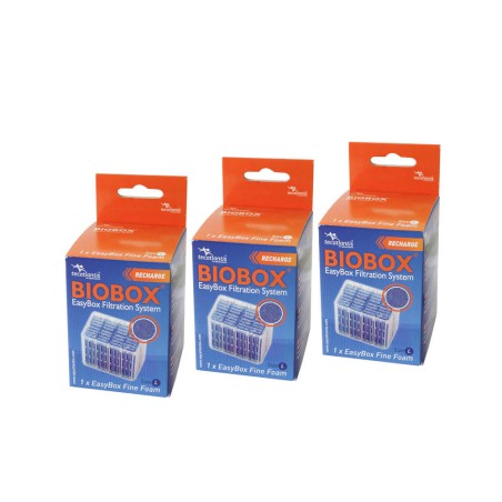 Filtre aquarium Easy box L Fine mousse Aquatlantis  (Lot de 3)