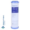 Cartouche charbon actif 9''3/4 10µm  - Pentek Pentair Water