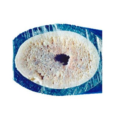 Silicophosphate en billes - Sachet Stand up 5 kg - anti tartre