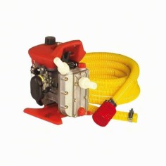 Electropompe 10 m3/h - ALP001519 - Copyright Waterconcept