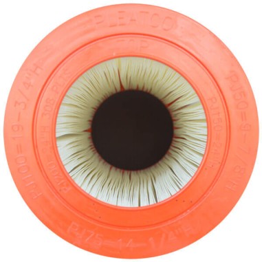 Filtre PJ150-4 Pleatco Advanced - Compatible Waterair CFR 150 