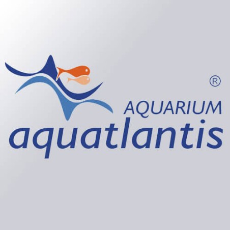 Aquatlantis