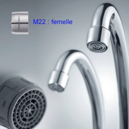 M22 - Standard femelle